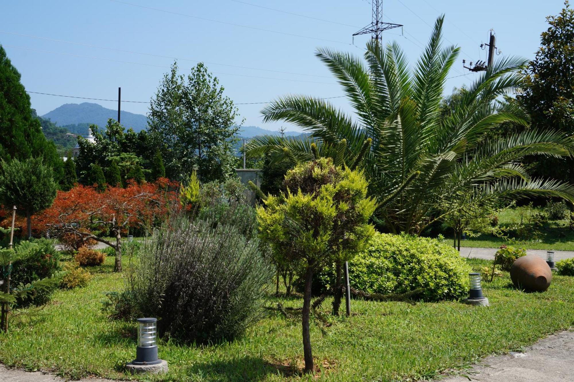 Villa Qero Batumi Exterior foto